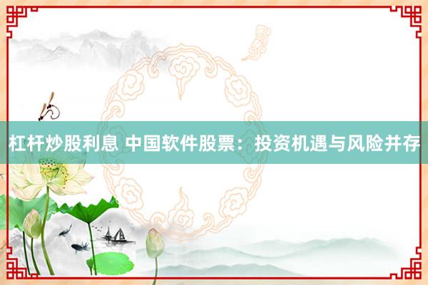 杠桿炒股利息 中國(guó)軟件股票：投資機(jī)遇與風(fēng)險(xiǎn)并存