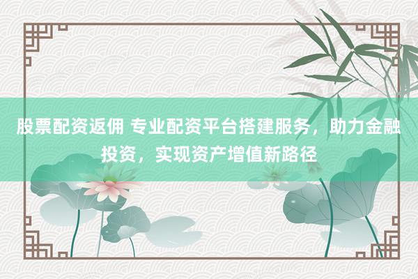 股票配資返傭 專業(yè)配資平臺搭建服務(wù)，助力金融投資，實現(xiàn)資產(chǎn)增值新路徑