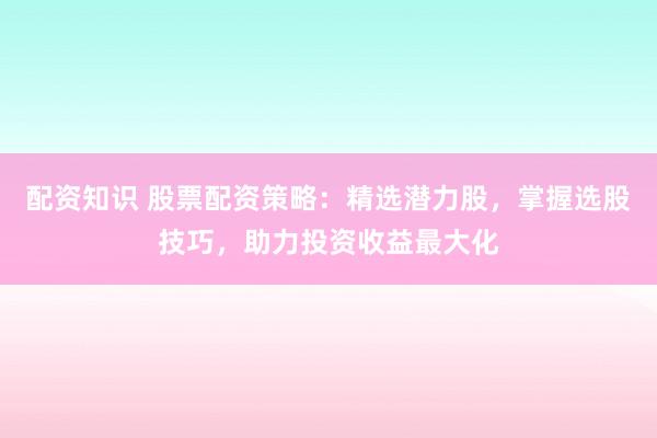 配資知識 股票配資策略：精選潛力股，掌握選股技巧，助力投資收益最大化